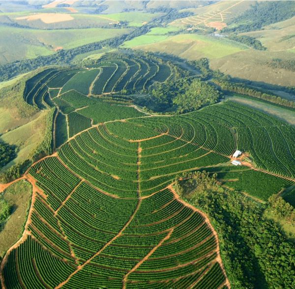 TEST PRODUKT - Bezeichnung